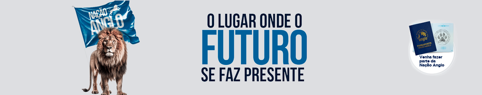 Anglo Limeira - Educação de Excelência